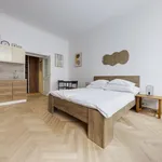 Pronajměte si 1 ložnic/e byt o rozloze 40 m² v Prague