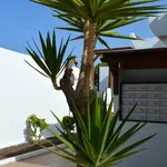 Rent 1 bedroom apartment of 28 m² in Corralejo