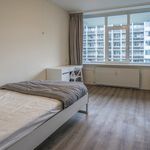 Huur 1 slaapkamer appartement van 14 m² in Amstelveen