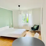 Rent 1 bedroom apartment of 40 m² in Bielefeld