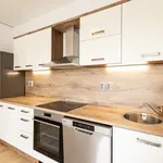 Rent 3 bedroom apartment of 59 m² in Prague