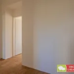 Rent 4 bedroom apartment of 78 m² in Prague