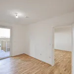 Rent 1 bedroom apartment of 67 m² in Wien