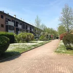 Rent 3 bedroom apartment of 94 m² in San Donato Milanese