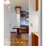 Rent 2 bedroom apartment of 47 m² in Santiago