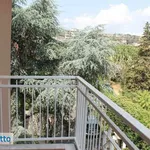 Rent 5 bedroom apartment of 154 m² in Catania