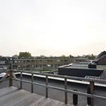 Rent 1 bedroom apartment of 40 m² in Hilversum