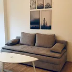 Rent 1 bedroom apartment in Graz