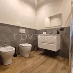 Rent 2 bedroom apartment of 55 m² in Torino