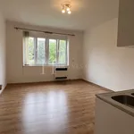 Rent 1 bedroom apartment of 31 m² in Praha