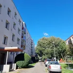 Pronajměte si 3 ložnic/e byt o rozloze 65 m² v Pardubice