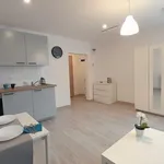 Rent 1 bedroom apartment of 27 m² in ul. Jagiellońska