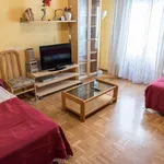 Rent 4 bedroom apartment in Madrid