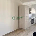 Rent 3 bedroom apartment of 75 m² in Turin