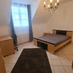 Rent 3 bedroom apartment of 49 m² in ORLEANS