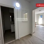 Rent 1 bedroom apartment of 29 m² in Zlín