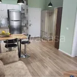 Rent 2 bedroom apartment of 65 m² in Torino