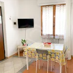 Rent 2 bedroom apartment of 45 m² in Pisa