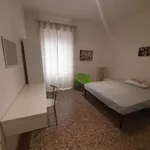 Rent 3 bedroom apartment of 100 m² in Roma