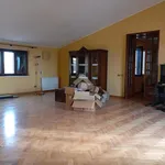 Rent 5 bedroom apartment of 280 m² in Marsala