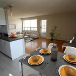 Rent 1 bedroom apartment in Burlington