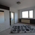 Rent 1 bedroom apartment in Sokolov