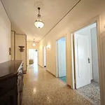 Rent 4 bedroom apartment of 110 m² in Cecina