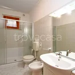 Rent 3 bedroom apartment of 75 m² in Rosignano Marittimo