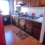 Rent 3 bedroom apartment of 110 m² in Rome