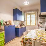 Rent a room of 120 m² in Roma