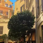 Rent 1 bedroom apartment of 55 m² in Roma