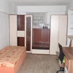 Rent 1 bedroom apartment of 31 m² in Karlovy Vary