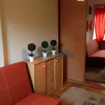 Rent 2 bedroom apartment of 39 m² in Warszawa