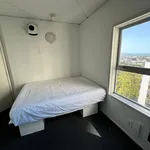 Rent 1 bedroom apartment in Auckland