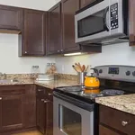 Rent 1 bedroom apartment in Richardson