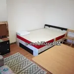 Rent 1 bedroom apartment in Grădinari