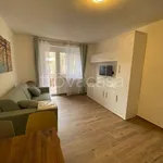 Rent 1 bedroom apartment of 30 m² in Bardonecchia