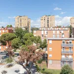 Rent a room of 70 m² in madrid