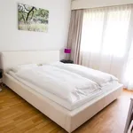 Ringstrasse, Zurich - Amsterdam Apartments for Rent