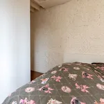 Rent 1 bedroom apartment in Antwerpen