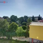 Pronajměte si 3 ložnic/e byt o rozloze 54 m² v Brno