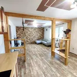 Rent 2 bedroom apartment of 67 m² in Stružnice