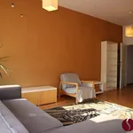 Rent 1 bedroom apartment of 37 m² in Poznan