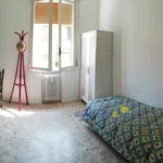 Rent 3 bedroom apartment of 80 m² in Parma