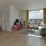 Rent 3 bedroom house of 130 m² in den-bosch