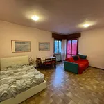 Rent 1 bedroom apartment of 41 m² in Verona