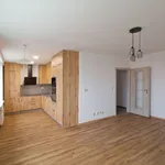 Pronajměte si 2 ložnic/e byt o rozloze 54 m² v Plzeň