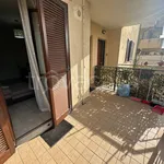 Appartamento in affitto a Grosseto via San Sebastiano, 57, arredato, giardino privato, terrazzo - TrovaCasa