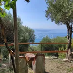 Rent 2 bedroom apartment of 55 m² in Pisciotta