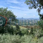 Rent 3 bedroom apartment of 60 m² in Assisi